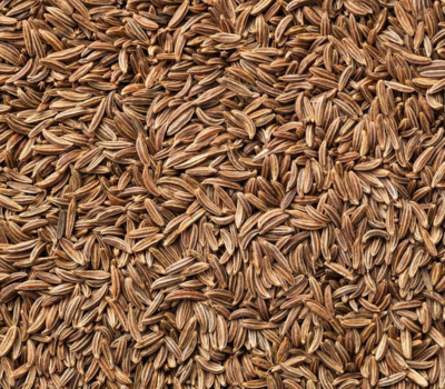 Cumin Seeds — machine-cleaned export grade Pakistan