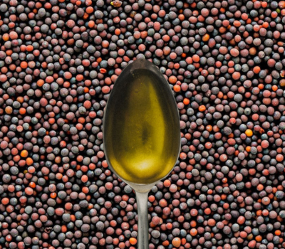 Mustard Oil Kachi Ghani cold-pressed Pakistan export